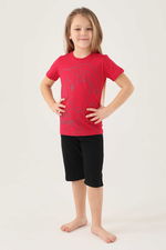 Looney Tunes - Looney Tunes L1591-2 Kız Çocuk Vişne Tişört Looney Tunes - Looney Tunes L1591-2 Kız Çocuk Vişne Tişört