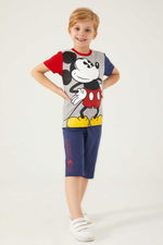 Mickey Mouse - Mickey Mouse D4788-3 Erkek Çocuk Gri Melanj Alt Üst Takım