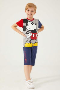 Mickey Mouse - Mickey Mouse D4788-3 Erkek Çocuk Gri Melanj Alt Üst Takım