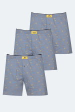 Slazenger - Slazenger HEGEL 3 lü Set Erkek Karışık Boxer